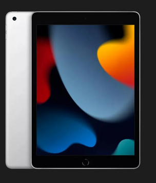 Apple iPad 10.2 256GB Silver, Wi-Fi + LTE (MK4H3) 2021  MK4H3 фото
