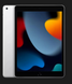 Apple iPad 10.2 256GB Silver, Wi-Fi + LTE (MK4H3) 2021  MK4H3 фото 1