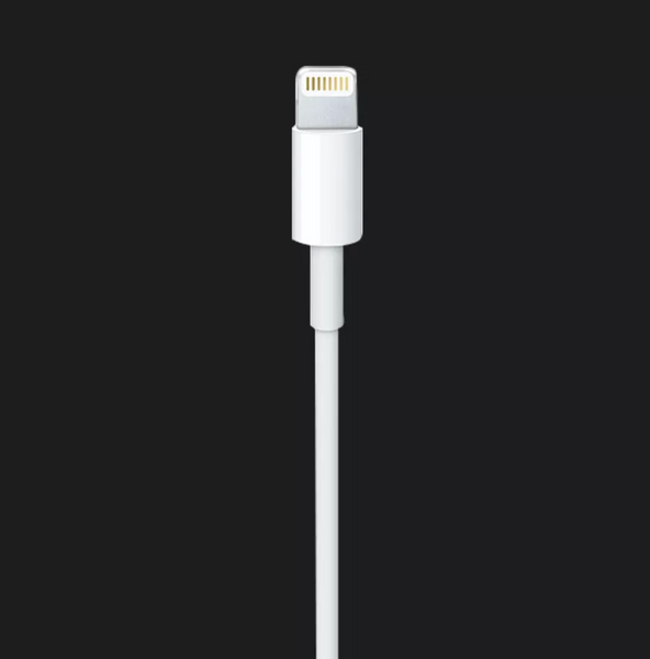 Кабель Apple Lightning to USB кабель 1m (MD818 / MQUE2) (MD818 / MQUE2) фото