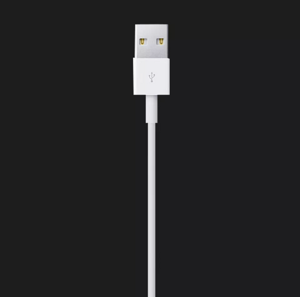 Кабель Apple Lightning to USB кабель 1m (MD818 / MQUE2) (MD818 / MQUE2) фото